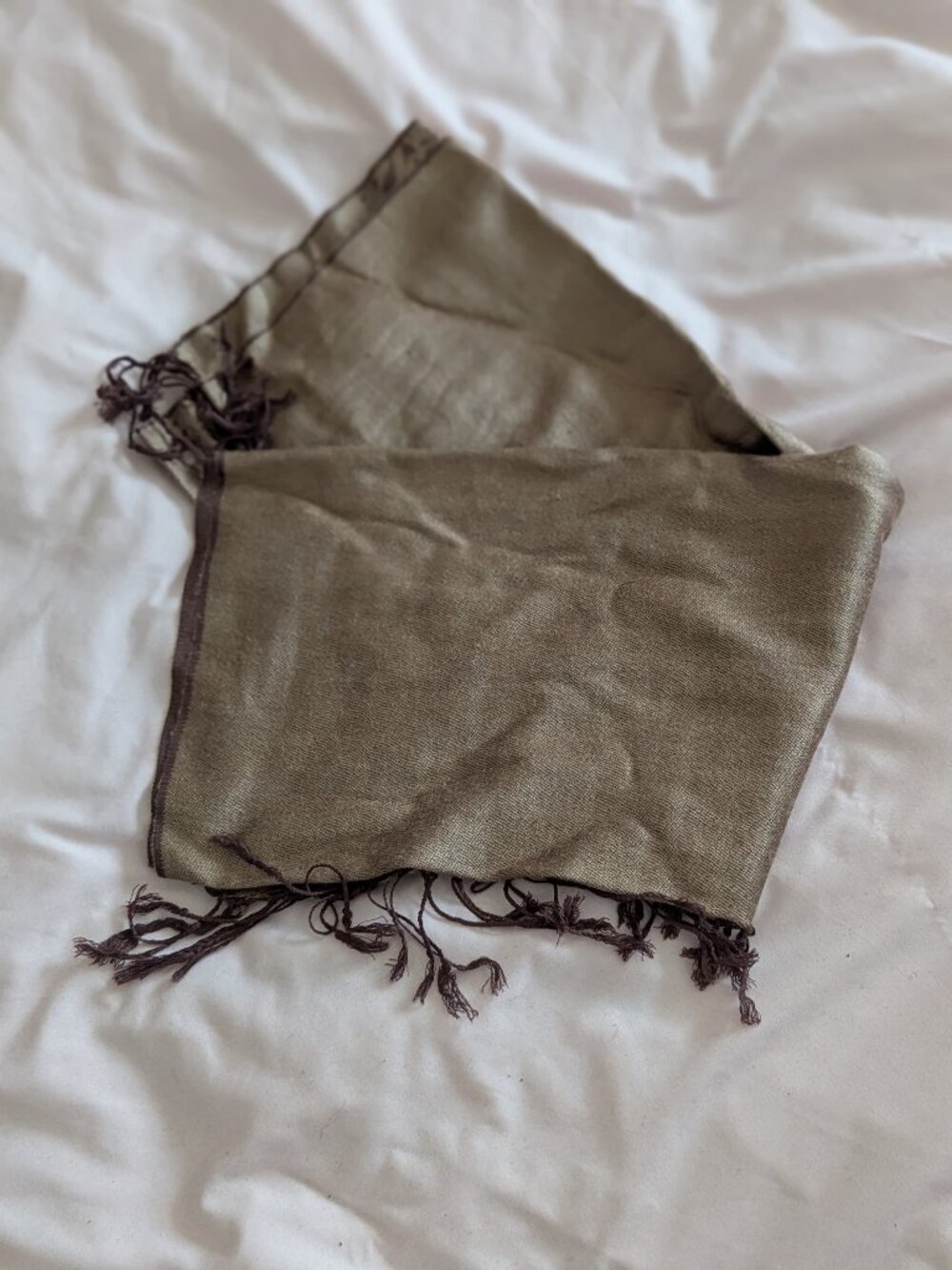 Pashmina Brown Paisley Fringe Scarf Wrap